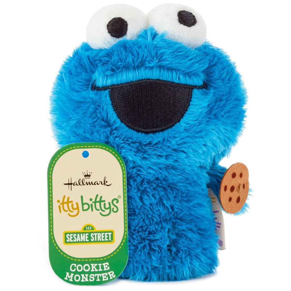 cookie monster teddy bear