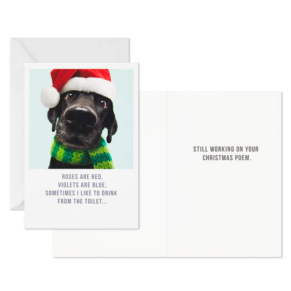 Roses Are Red Dog Poetry Boxed Christmas Cards, Pack of 16, , large image number 3