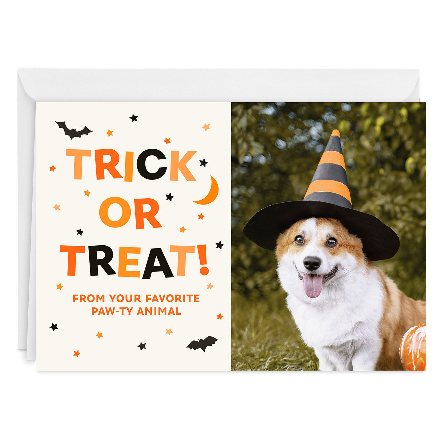 Trick or Treat Paw-ty Animal Custom Halloween Card for only USD 4.99 | Hallmark