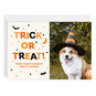 Paw-ty Animal Pet Photo Personalized Halloween Card Card Front with Envelope image number 1