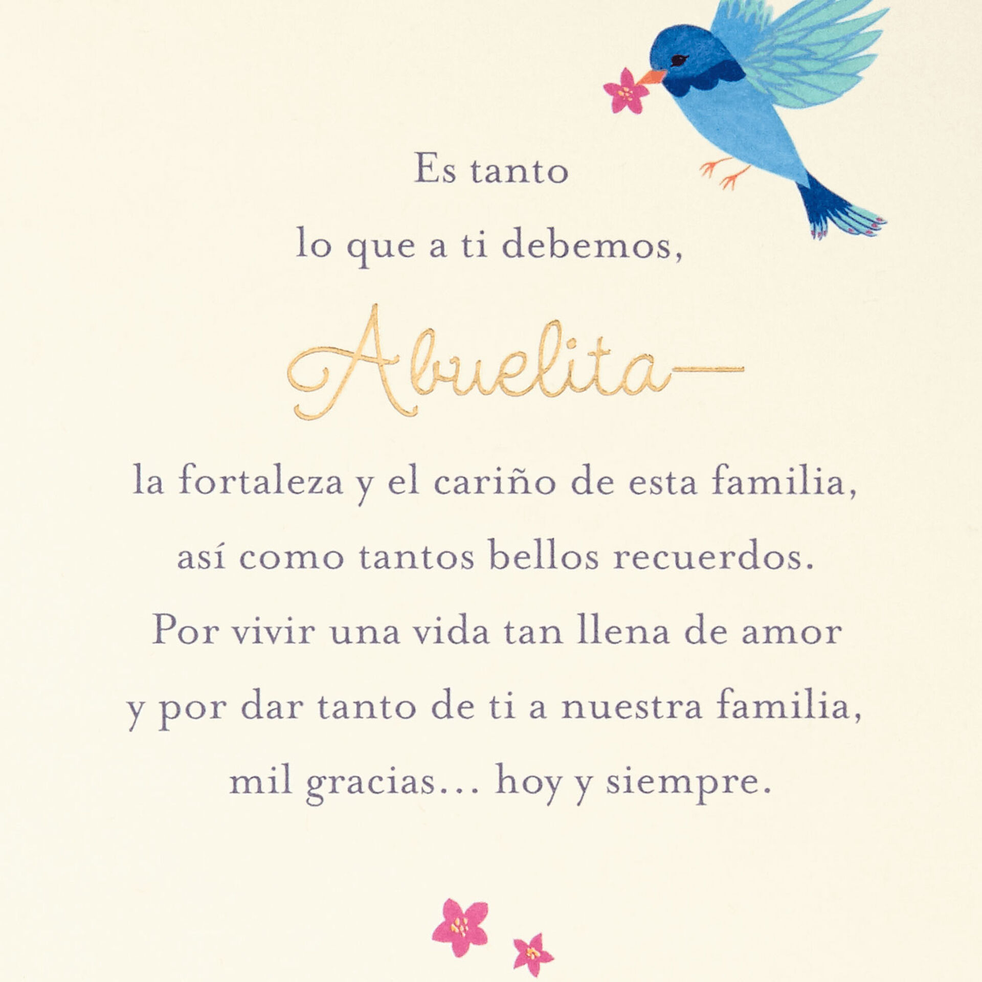 Mothers Day Quotes In Spanish For Grandma Birdhouses Spanish-Language Mother's Day Card for Grandma - Greeting