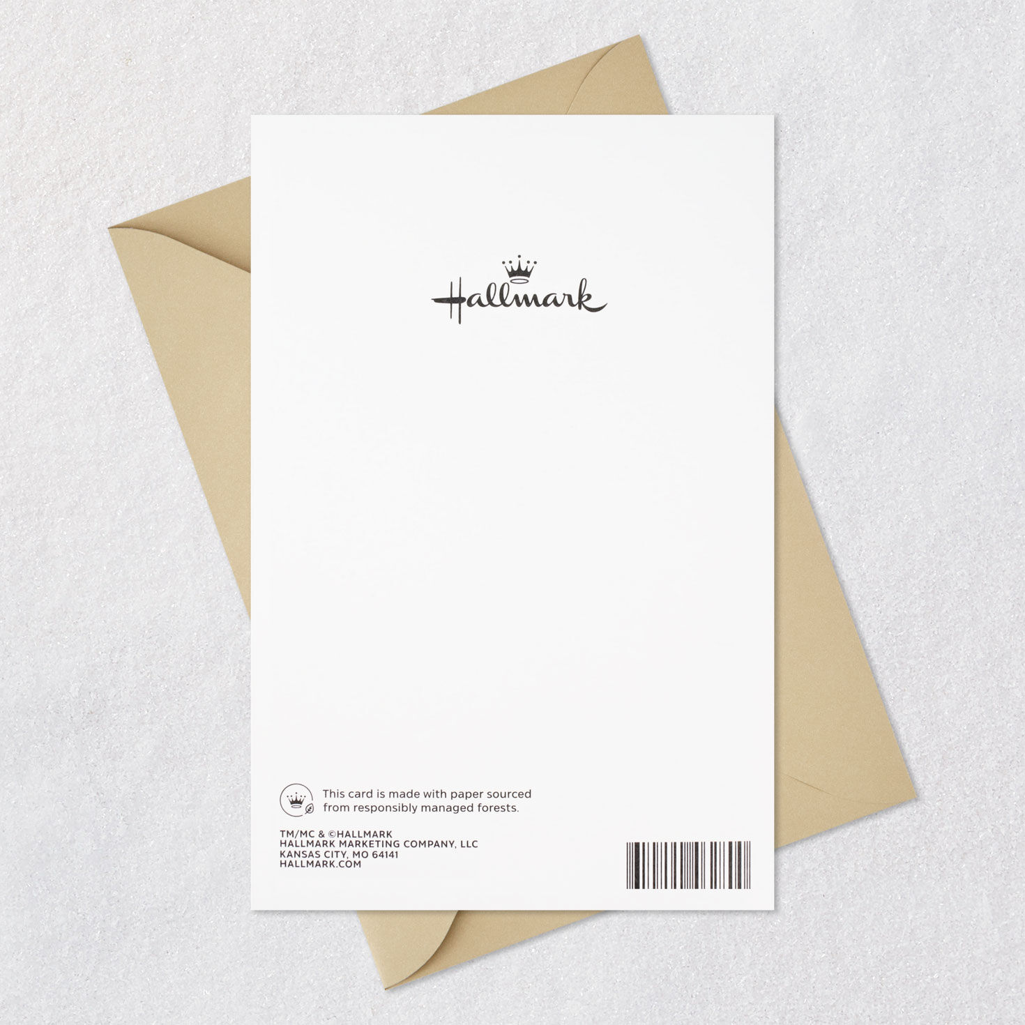 Script Lettering on Fall Plaid Thanksgiving Card Card Back with Envelope image number 8