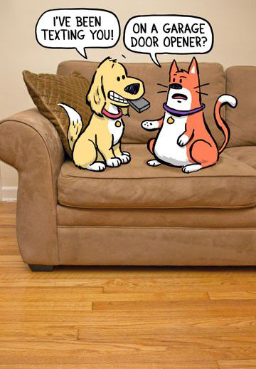 Technologically Challenged Pets Funny Birthday Card