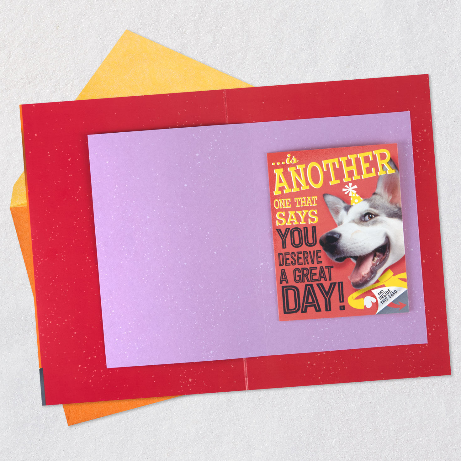 Dog With Lots of Wishes Birthday Card Open card with envelope image number 5