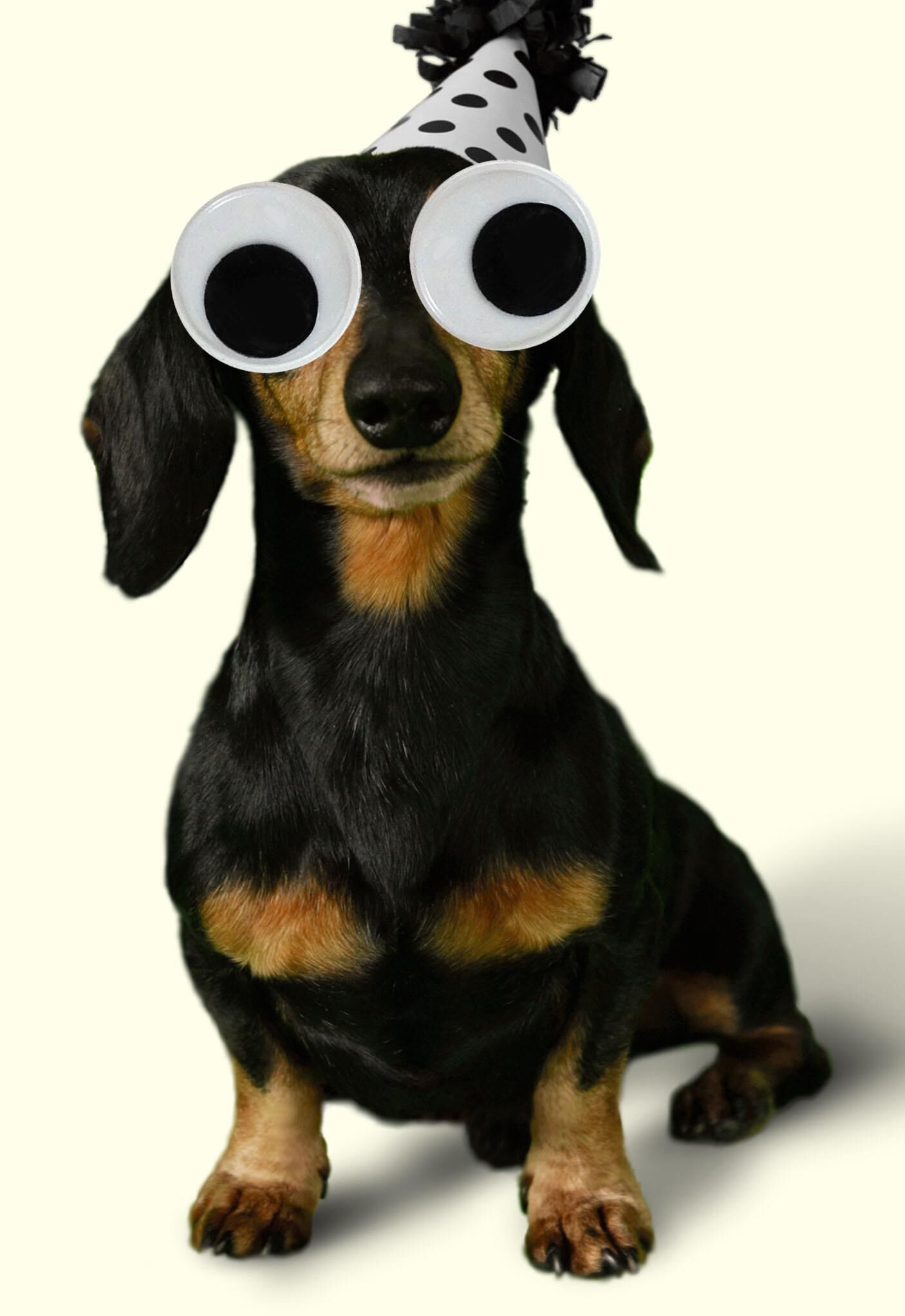 Googly Eyes Wiener Dog Funny Birthday Greeting Cards Hallmark