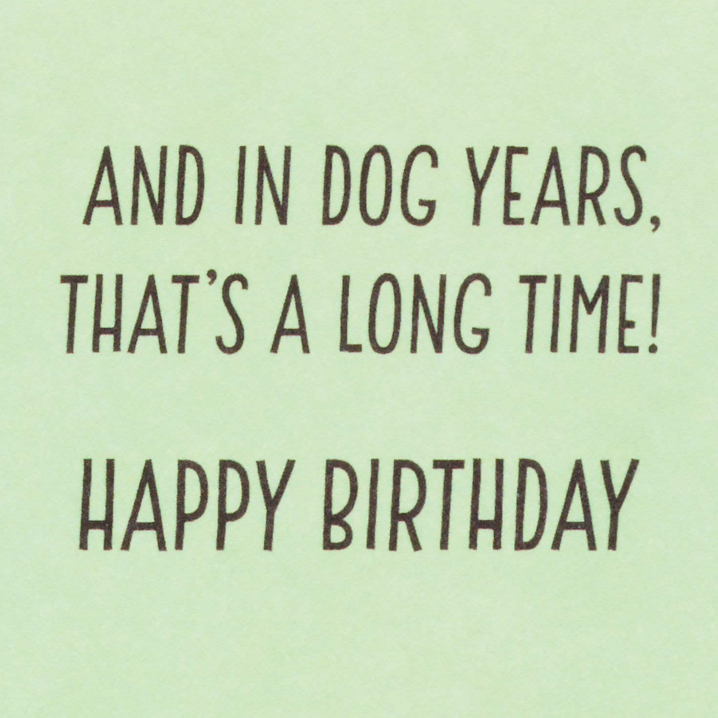 Dog Waiting for Cake Funny Birthday Card Sentiment image number 2