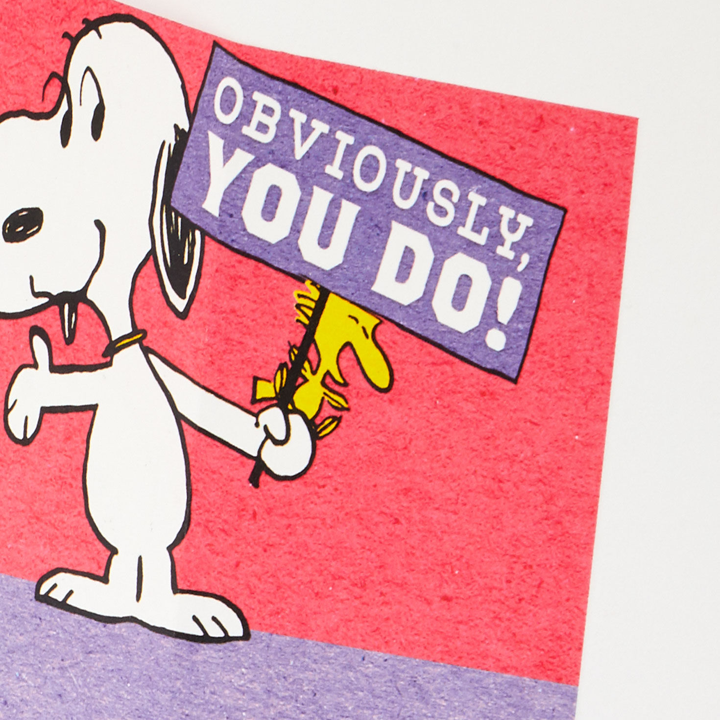 Charlie Brown on Pink Birthday Card and Mini Cards sentiment image number 3