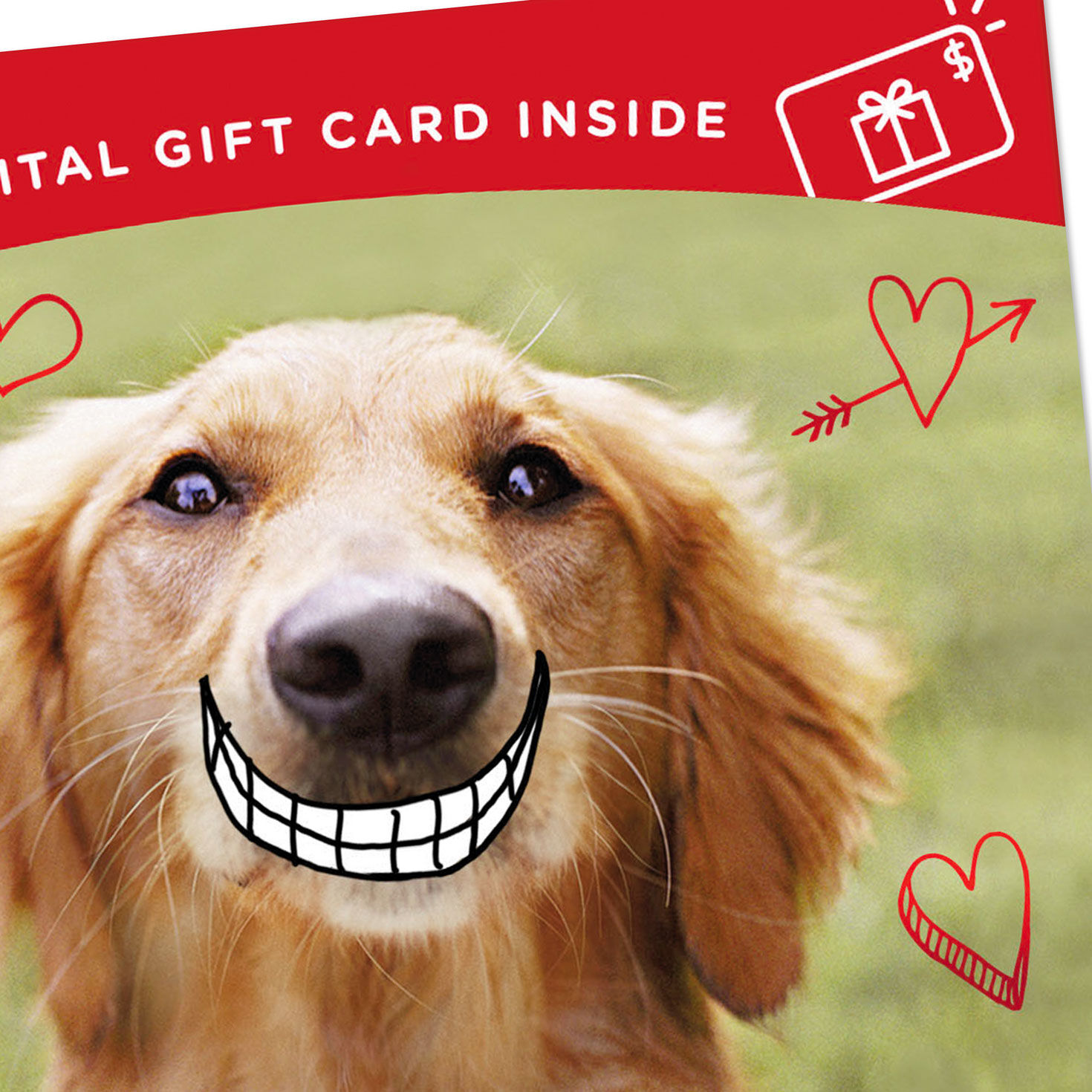 Smiling Dog Valentine's Gift Card Greeting Card Front Detail image number 5