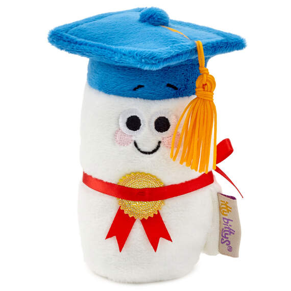itty bittys® Diploma Plush With Sound