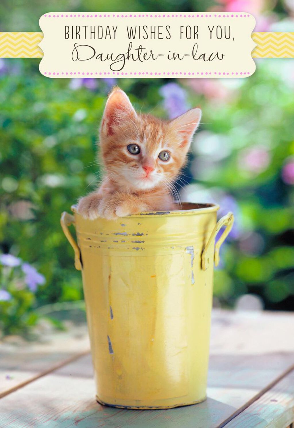 Kitten In Bucket Birthday Card For Daughter In Law Greeting