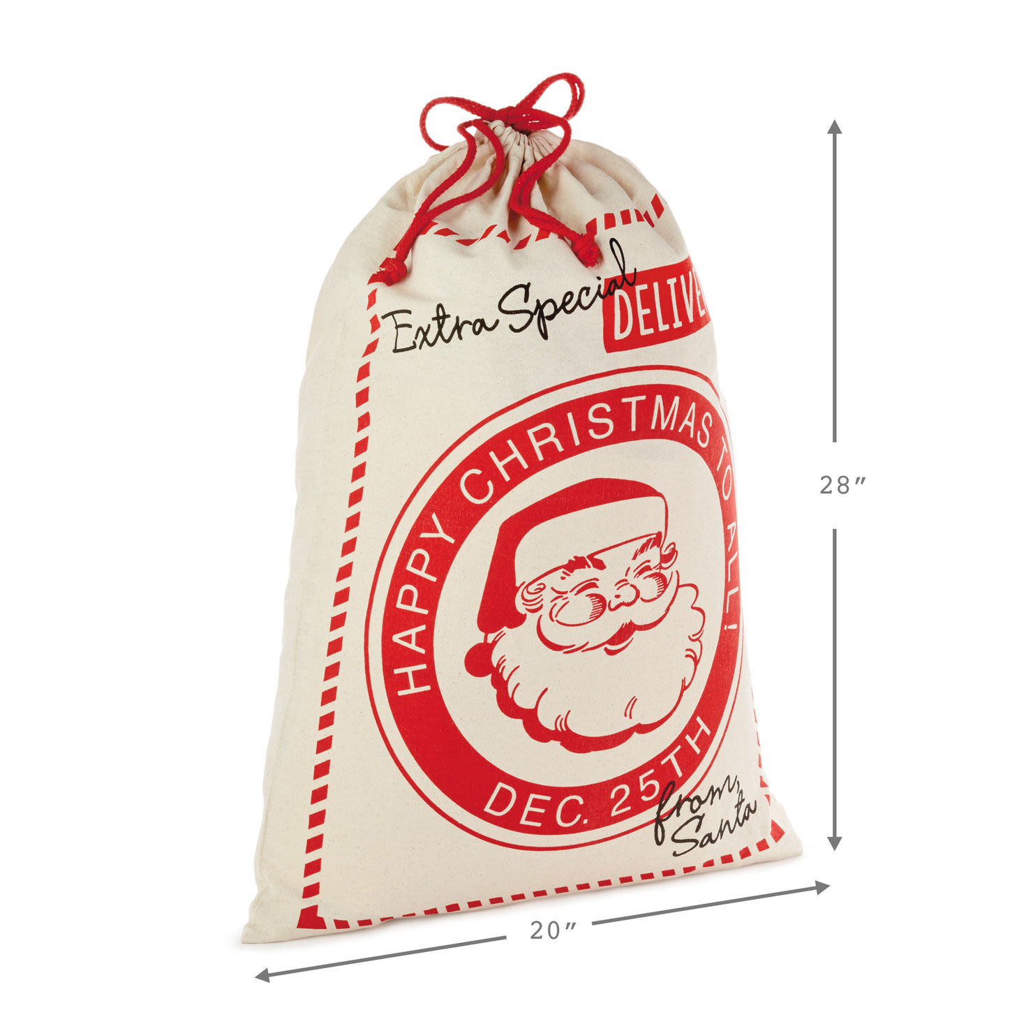 Special Delivery From Santa XL Fabric Gift Bag  image number 3