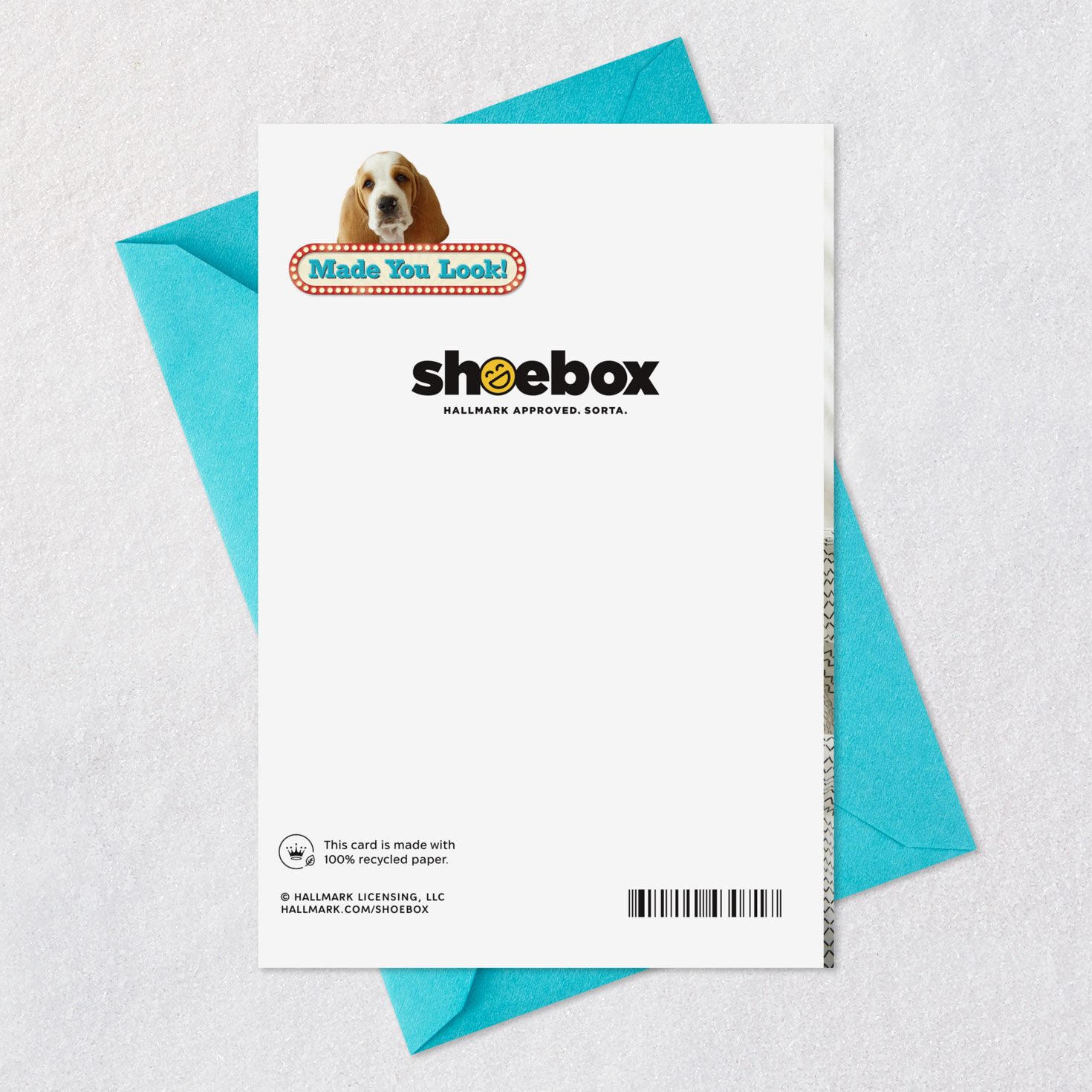 Cuddly Puppies Funny Anniversary Card for Couple Card Back with Envelope image number 7