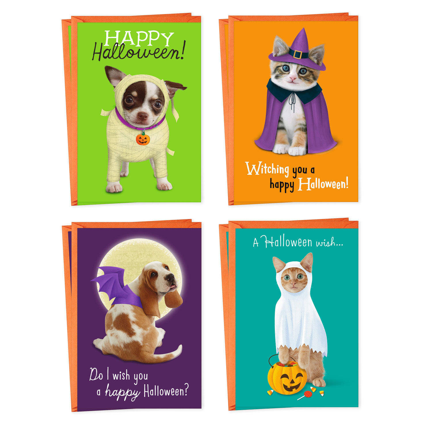 Pets in Costume Assorted Halloween Cards, Pack of 8