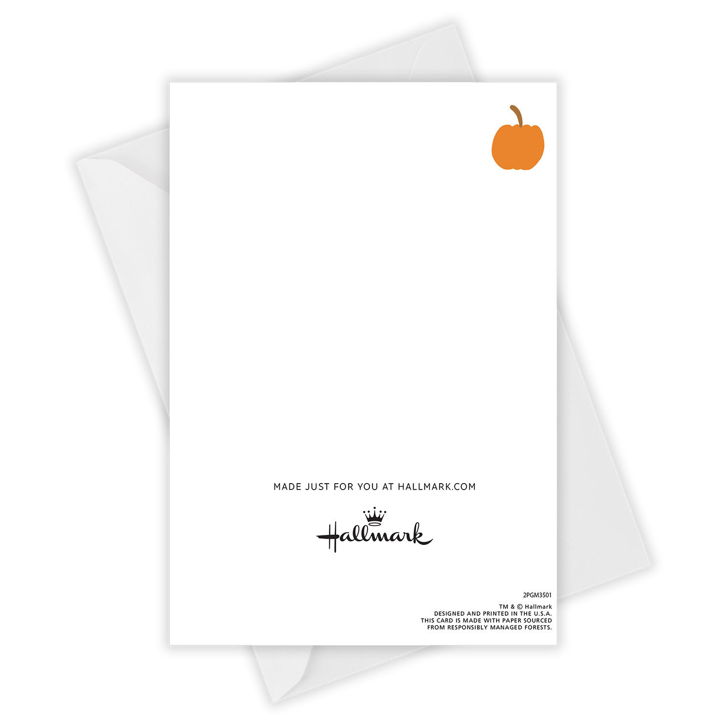 Pumpkin Flavored Everything Custom Thanksgiving Card, , large image number 4