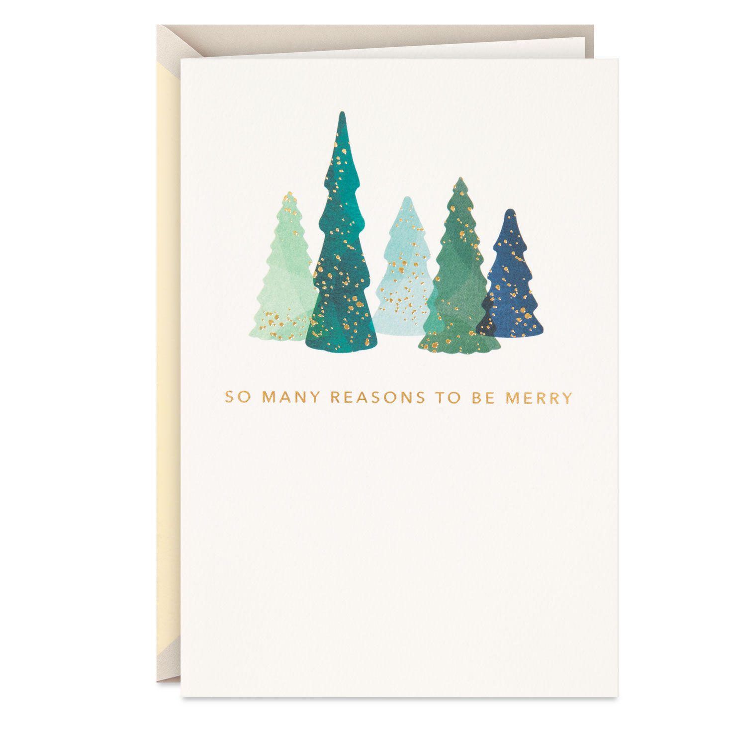 So Many Reasons to Be Merry Christmas Card