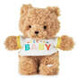 Welcome Baby Recordable Teddy Bear Stuffed Animal, 8.75", , large image number 1