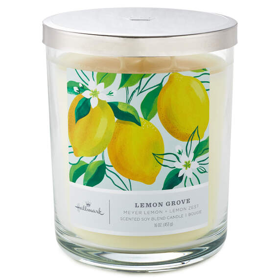 Lemon Grove 3-Wick Jar Candle, 16 oz., , large image number 1