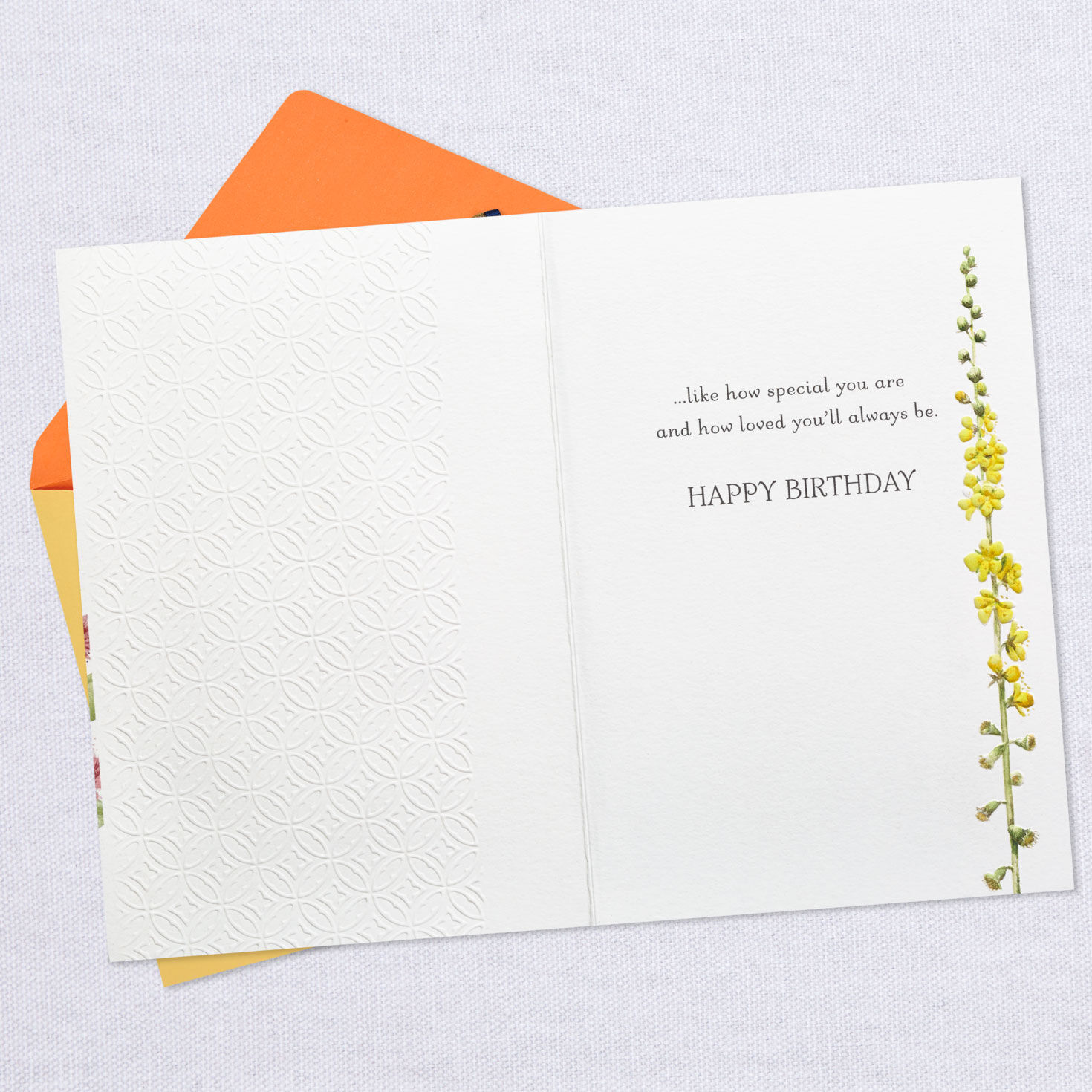 Marjolein Bastin You Are So Special Birthday Card, , large image number 3