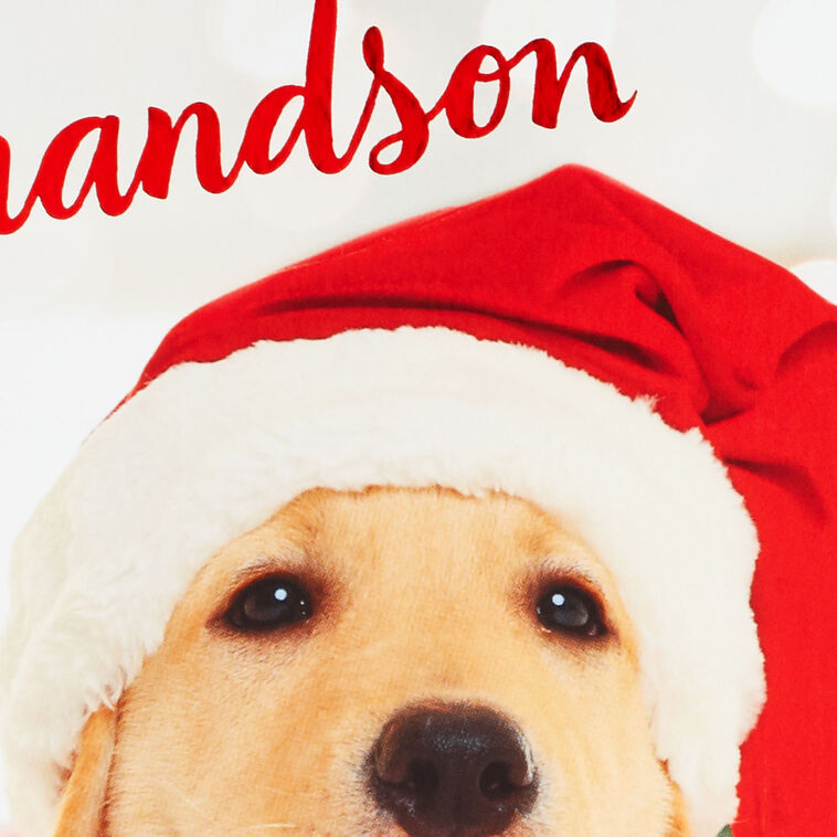 Golden Retriever in Santa Hat Grandson Christmas Card Card Front Detail image number 4