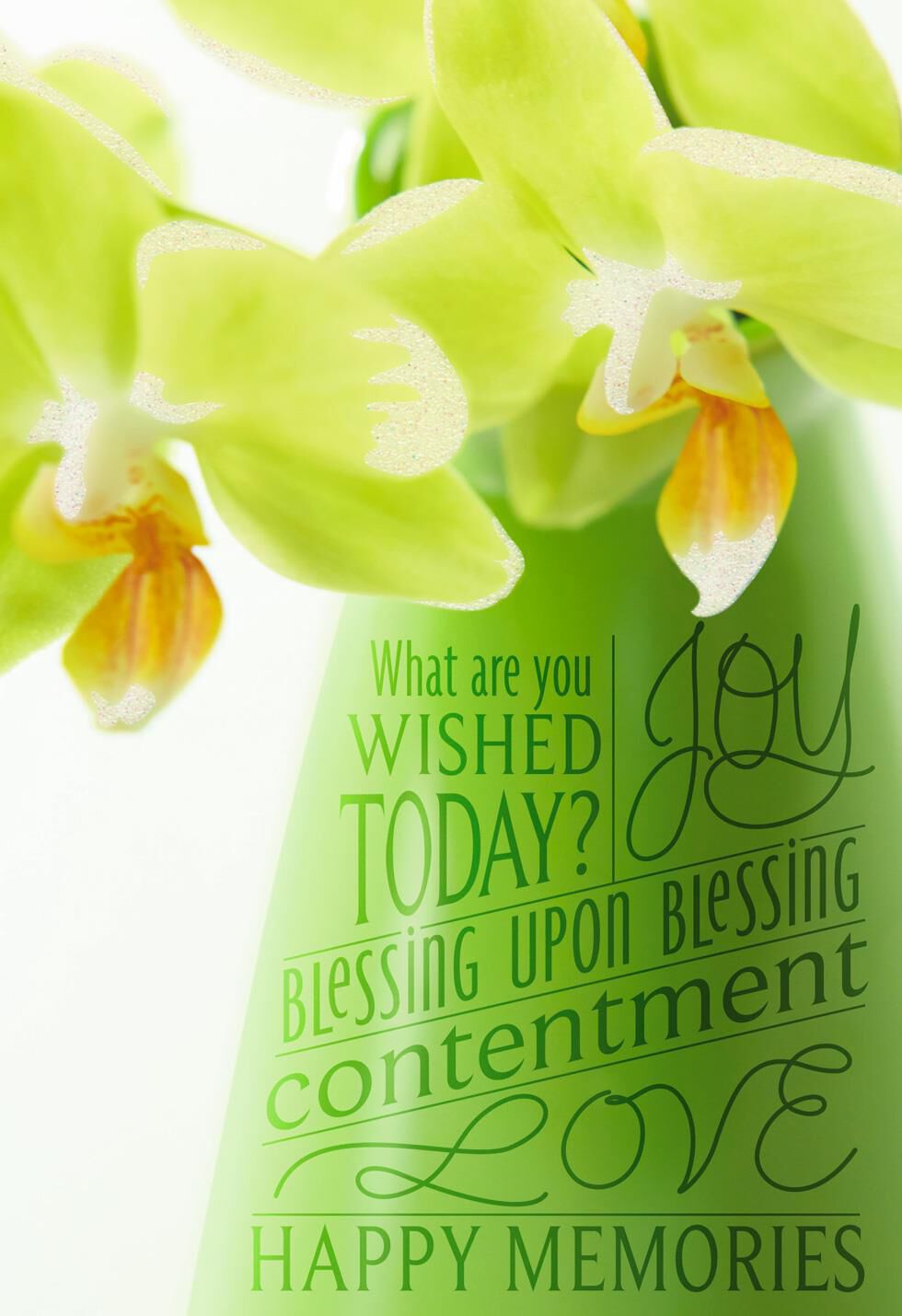 Orchid Blessings Upon Blessings Birthday Card Greeting