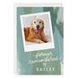 Personalized Green Brush Strokes Sympathy Photo Card  image number 1