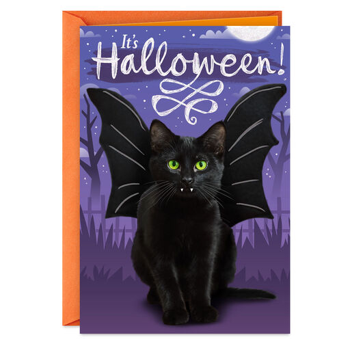 Scare Up Some Fun Black Cat Bat Halloween Card, 