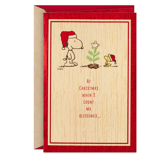 Peanuts® Snoopy and Woodstock Counting My Blessings Christmas Card, 