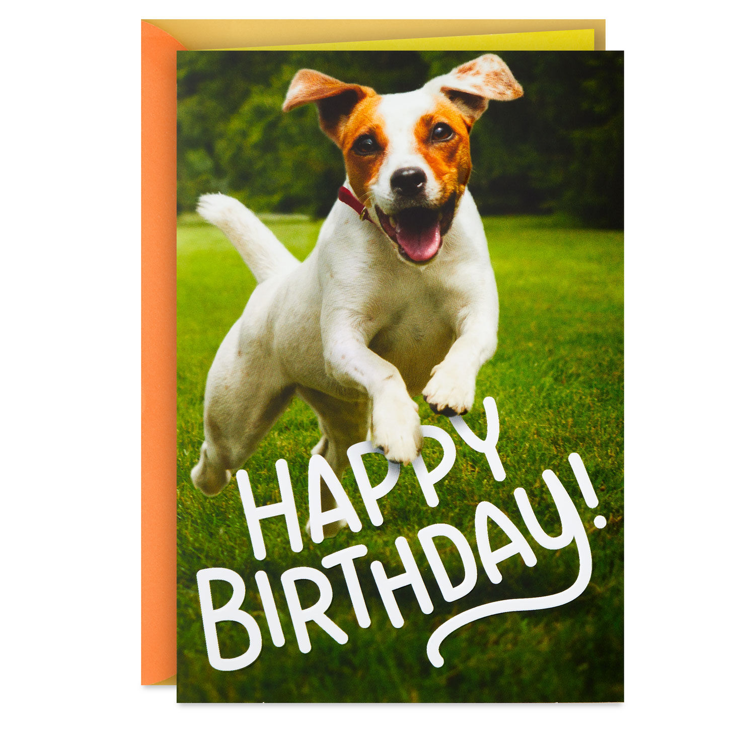 Have an Off-Leash Kind of Day Funny Birthday Card
