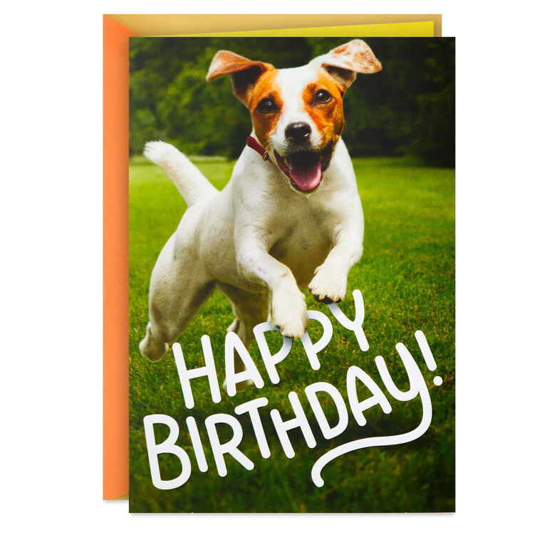 Have an Off-Leash Kind of Day Funny Birthday Card