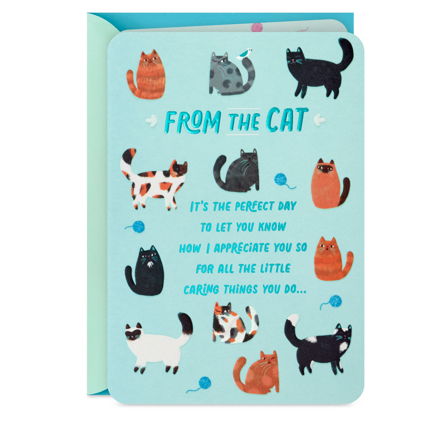 Love the Way You Care for Me Mother's Day Card from Cat