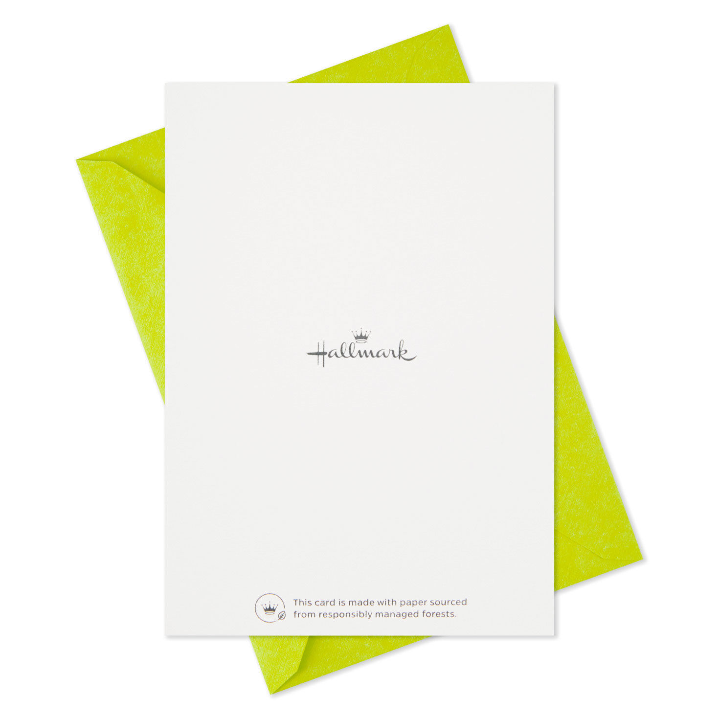 Cute Dogs Assortment Blank Thank-You Notes, Pack of 48, , large image number 7