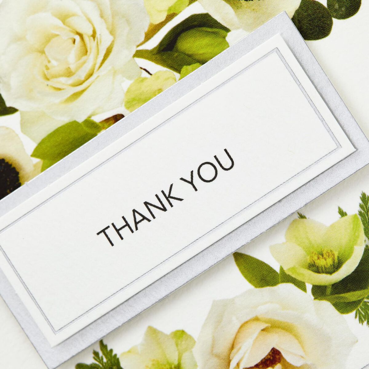 Ivory and White Floral Blank Thank You Notes, Box of 8 - Note Cards