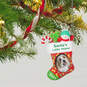 Santa's Little Yelper 2021 Photo Frame Ornament, , large image number 2