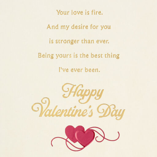 Baby, You Did Me In Romantic Valentine's Day Card, 