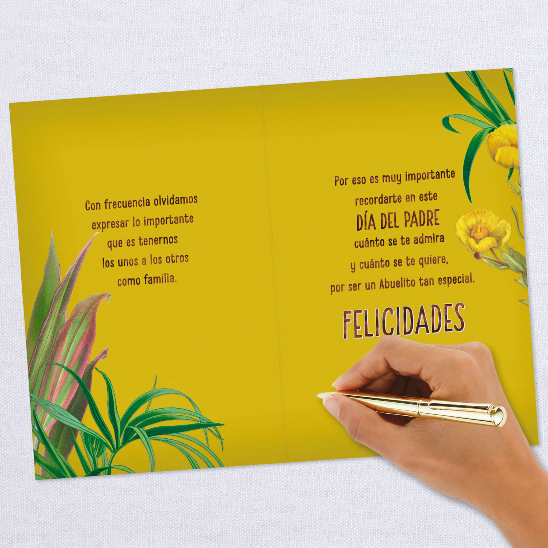 Download For A Special Grandpa Spanish Language Father S Day Card Greeting Cards Hallmark