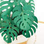 Plant in Pot 3D Pop-Up Thinking of You Card, , large image number 4
