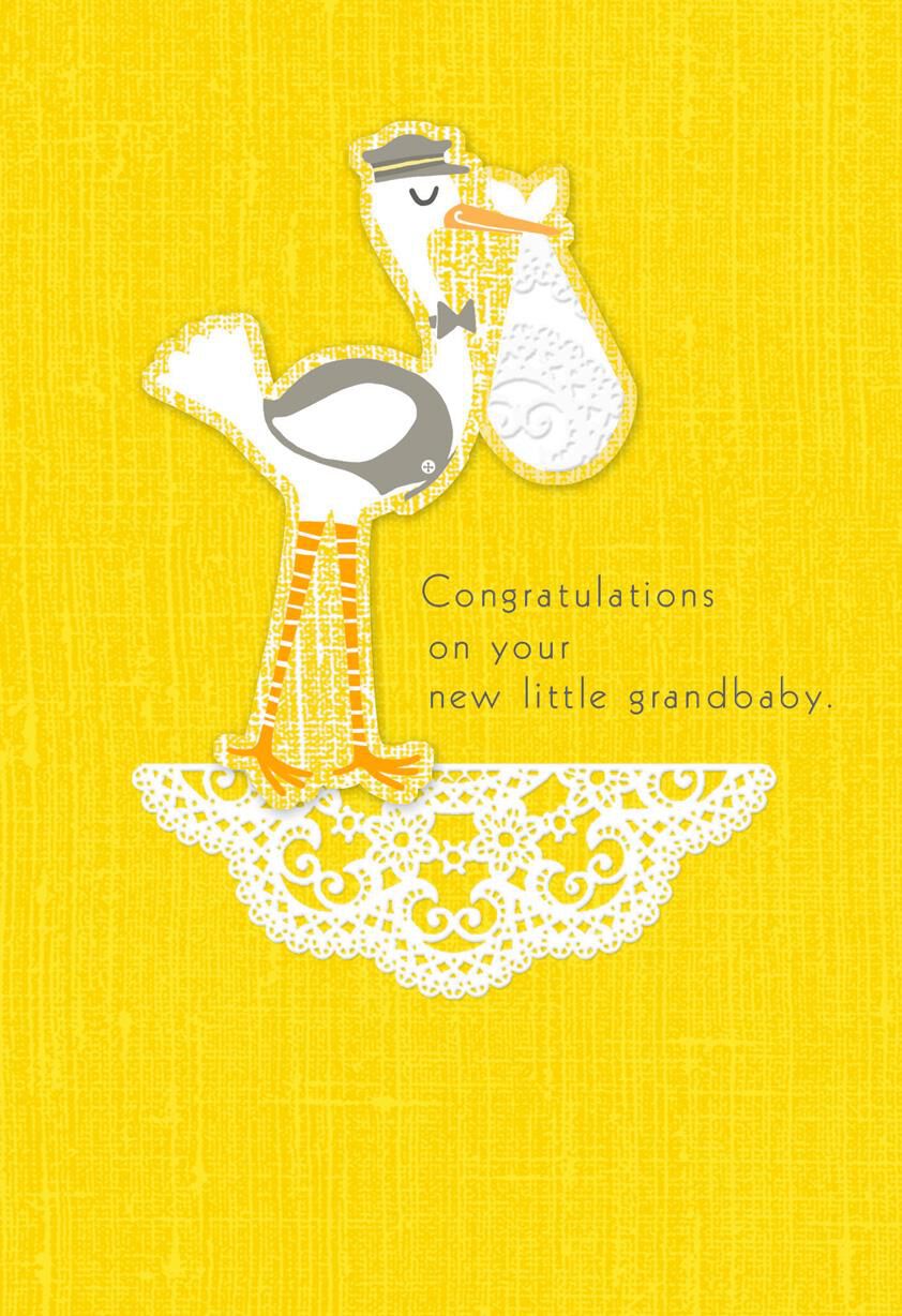 Lifetime of Wonderful New Baby Grandchild Card