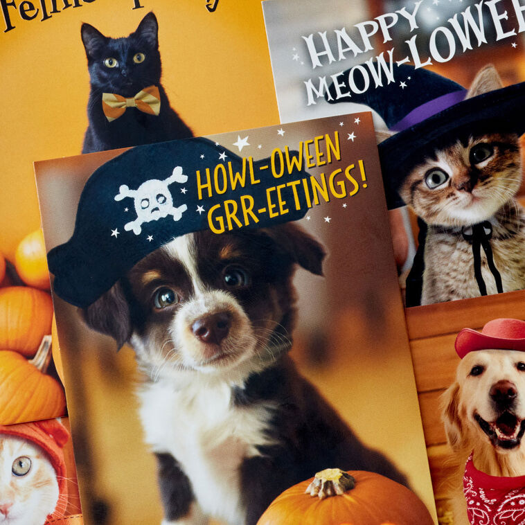 Pet Puns Assortment Boxed Halloween Cards, Pack of 48, , large image number 3
