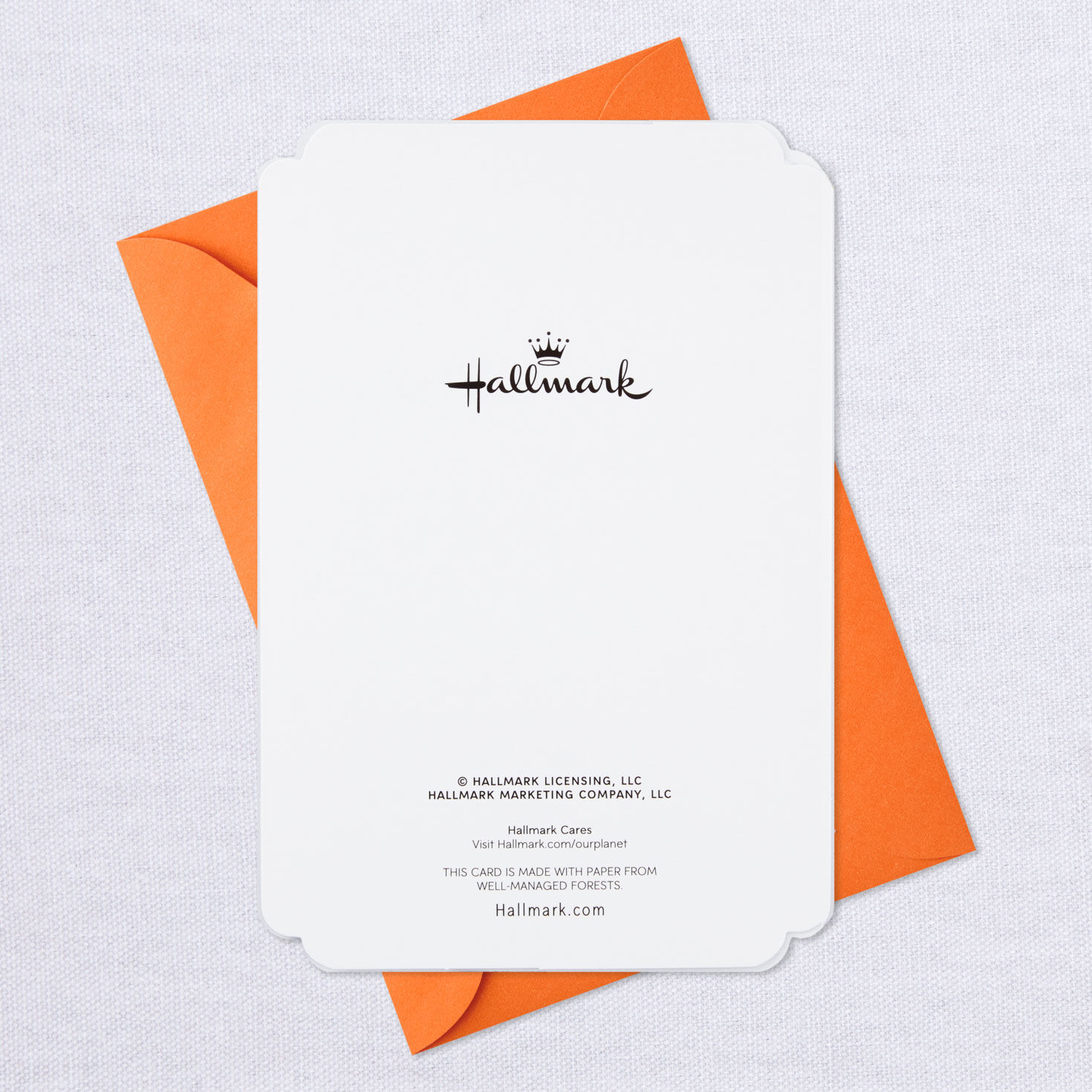 Pumpkin Fall Scenes Assorted Halloween Cards, Pack of 6, , large image number 7