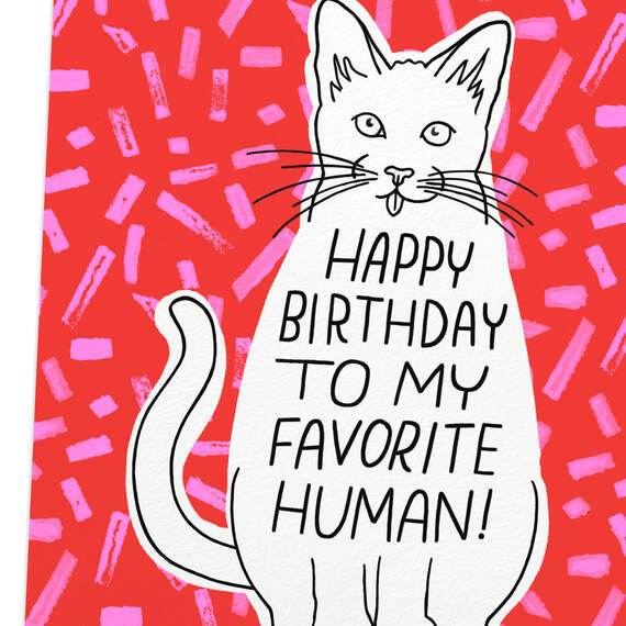 You're My Favorite Birthday Card From the Cat, , large image number 4
