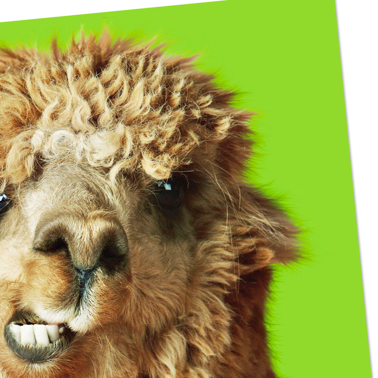 Nobody Gets Me Like You Do Funny Friendship Card, , large image number 4