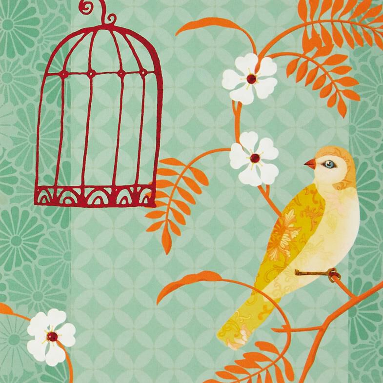 Bird Cage Blank Card