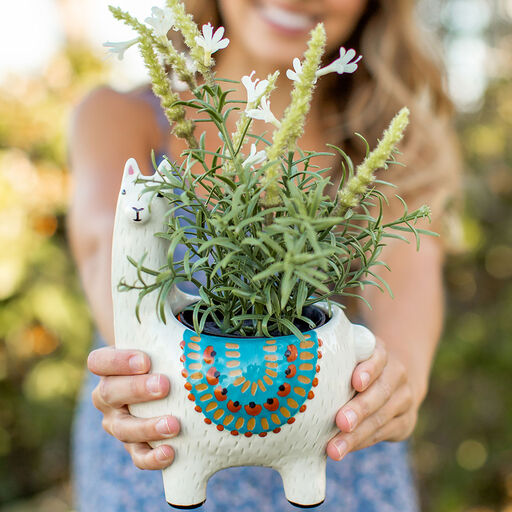 Natural Life Cream Ceramic Llama Planter, 