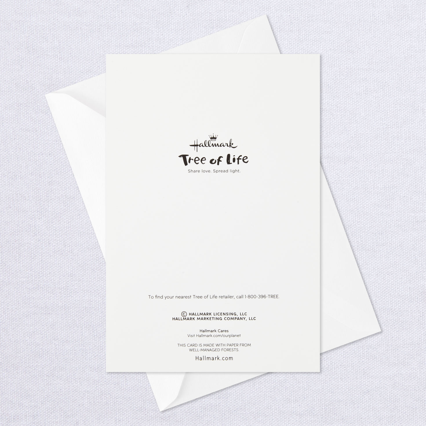 Shalom and L'Chaim Assorted Blank Cards, Pack of 8, , large image number 9