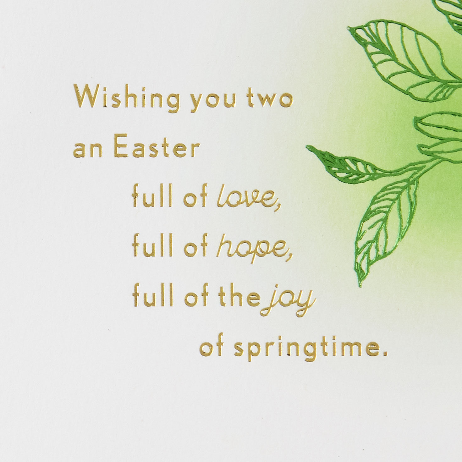 Robins in Birdhouse Easter Card for Son and Daughter-in-Law Sentiment image number 2