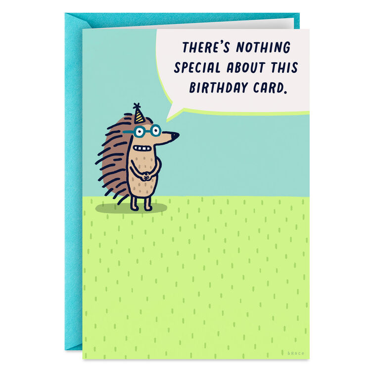 Nothing Special About This Funny Birthday Card