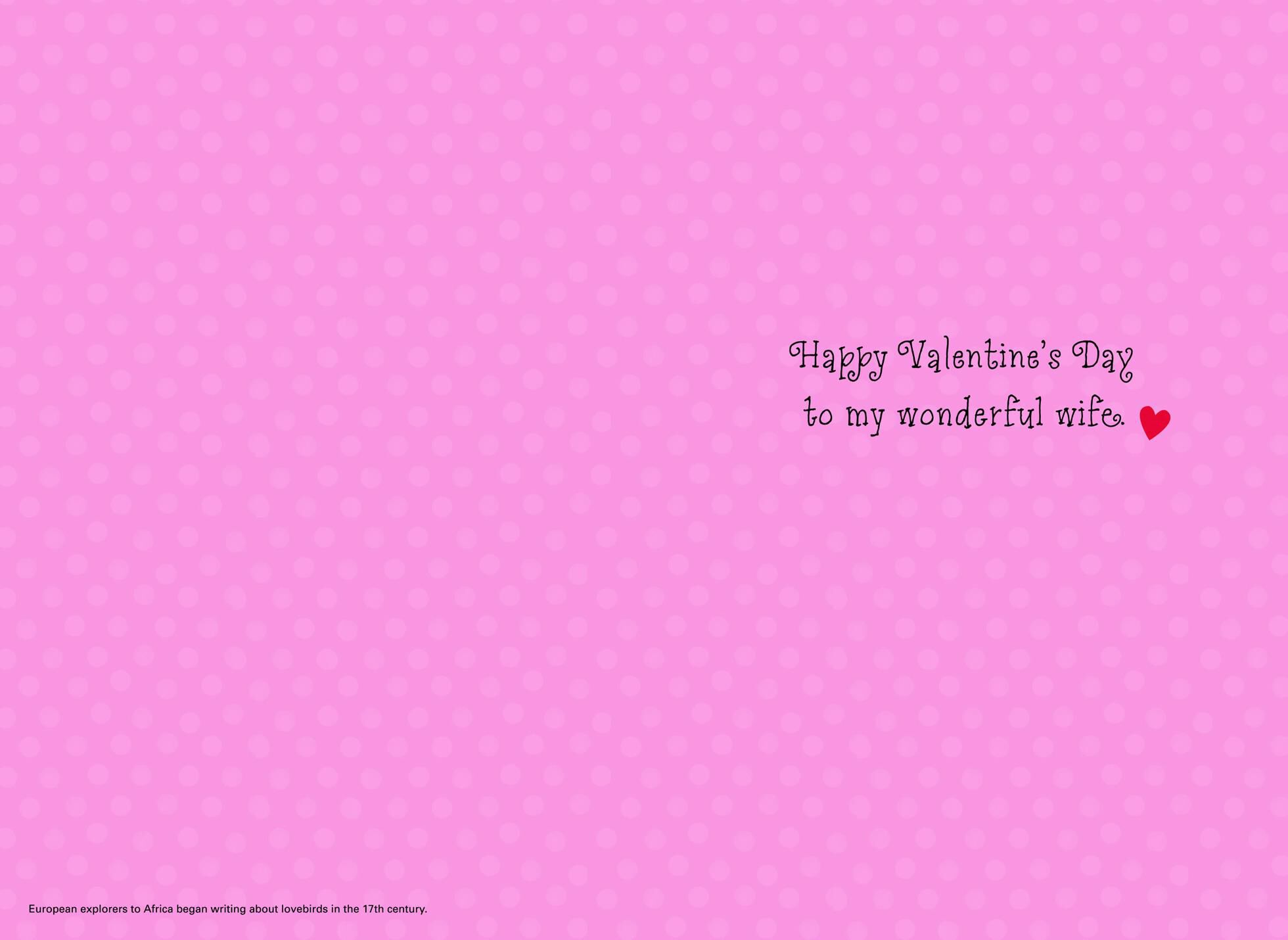 UNICEF Lovebirds Valentine's Day Card for Wife