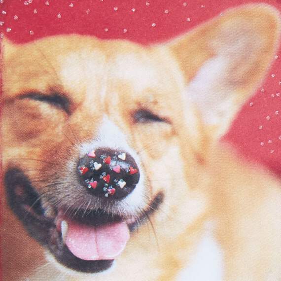 3.25" Mini Million Bits of Happy Corgi Dog Card, , large image number 5