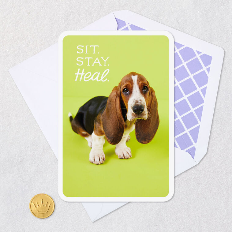 Basset Hound Puppy Dog Cute Get Well Card Card Front with Envelope and Gold Seal image number 5