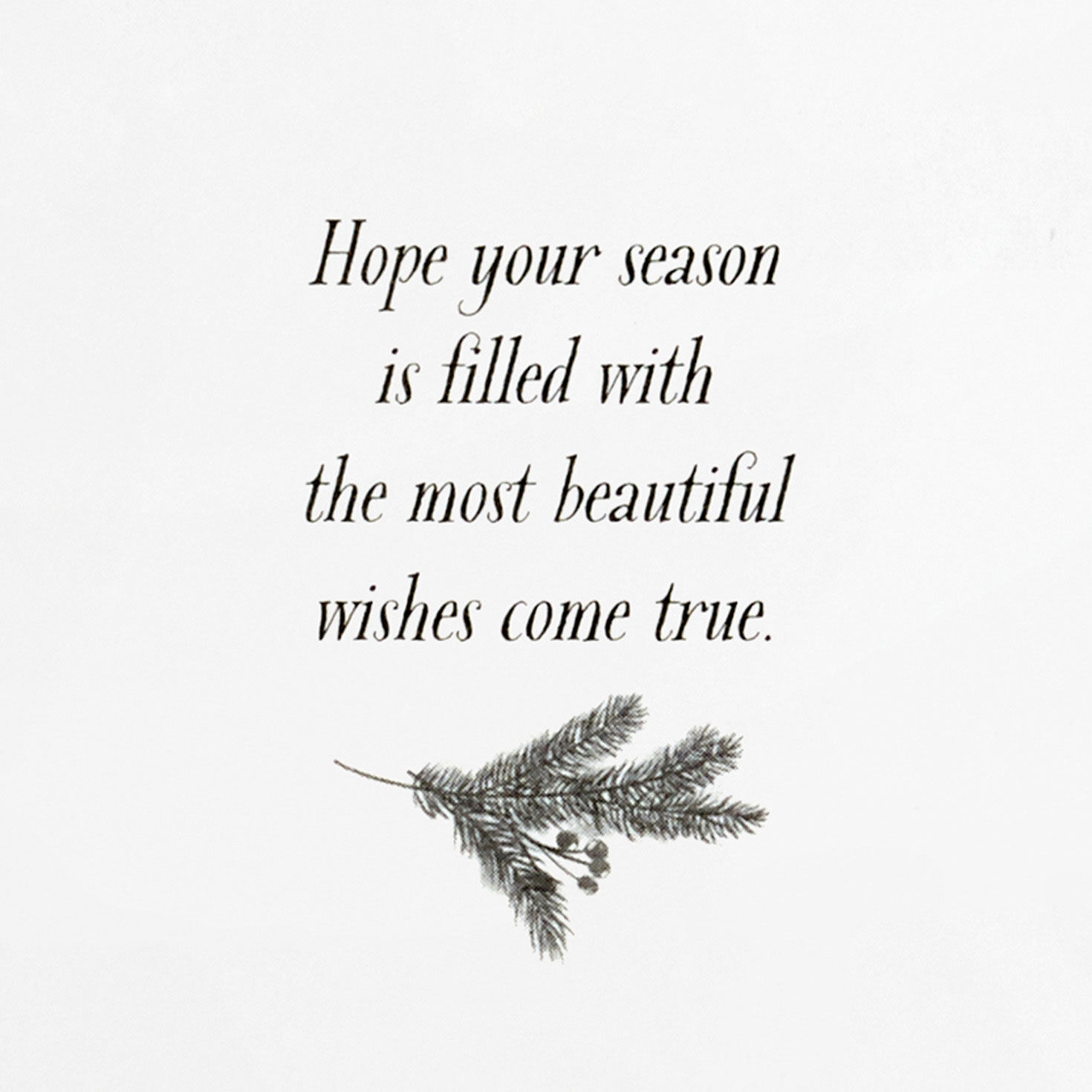 Elegant Poinsettia Boxed Christmas Cards, Pack of 16 for only USD 15.49 | Hallmark